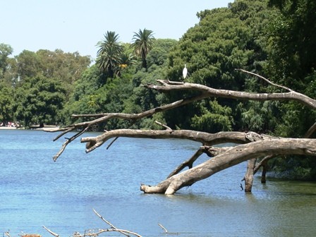 Foto 2/lagos de palermo