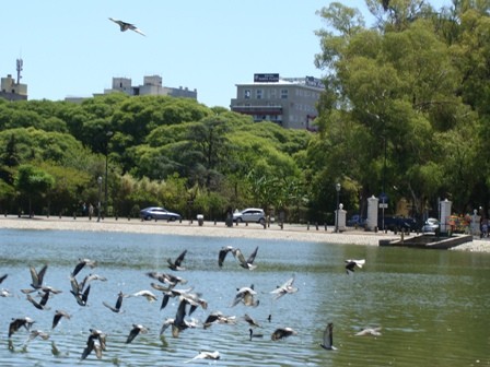 Foto 5/lagos de palermo