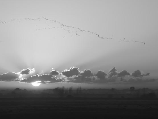 Foto 4/Amanecer de domingo en Cardales