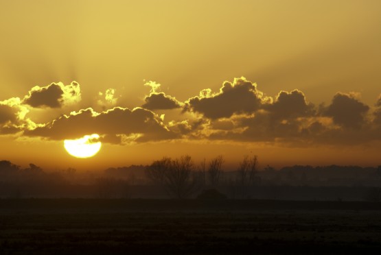 Foto 5/Amanecer de domingo en Cardales