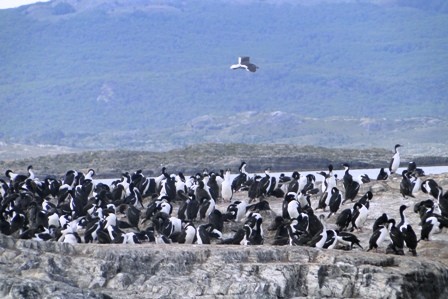 Foto 4/el sur y sus paseos