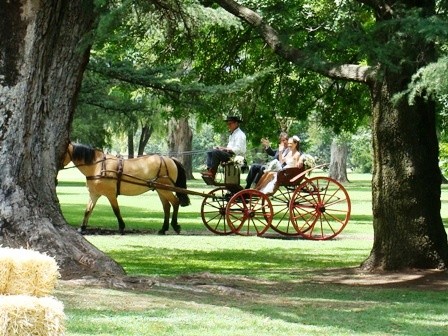 Foto 2/casamiento campestre