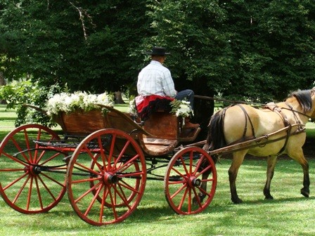 Foto 5/casamiento campestre