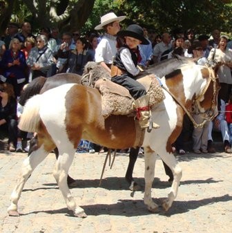 Foto 3/dia de la tradicion