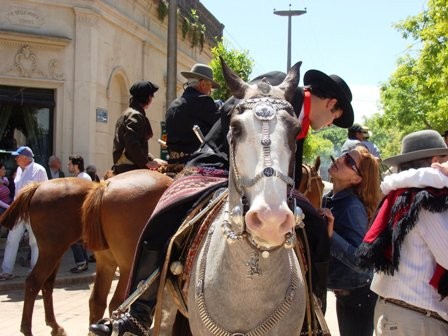 Foto 5/dia de la tradicion