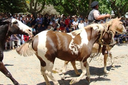 Foto 2/dia de la tradicion