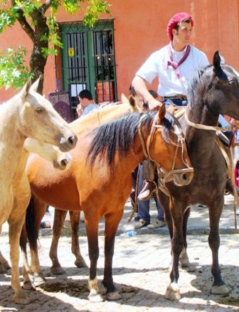 Foto 2/dia de la tradicion