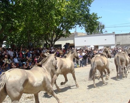 Foto 5/dia de la tradicion