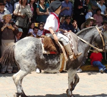 Foto 1/dia de la tradicion