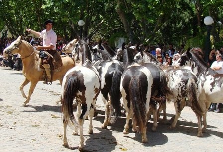 Foto 1/dia de la tradicion