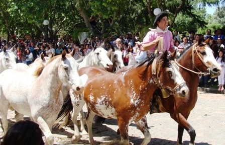 Foto 4/dia de la tradicion