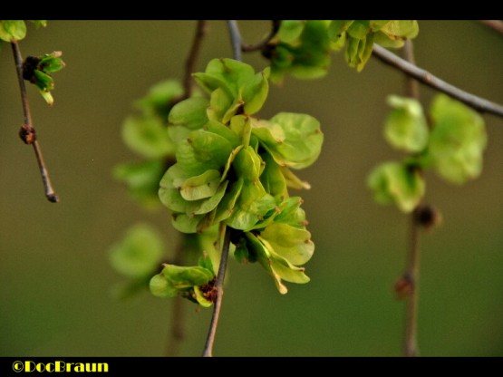 Foto 4/Se acerca la primavera