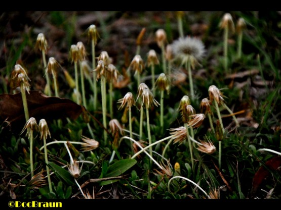 Foto 5/Se acerca la primavera