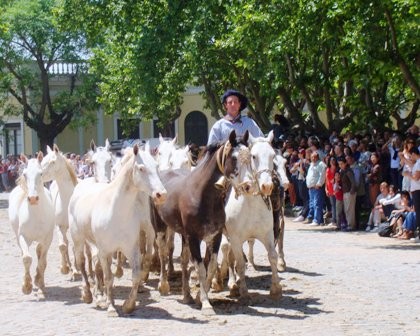 Foto 1/tradicion