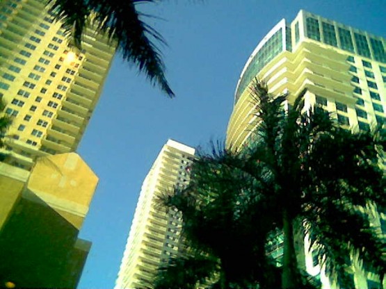 Foto 3/DOWN TOWN Miami (La selva de acero y concreto)