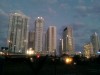 DOWN TOWN Miami (La selva de acero y concreto)