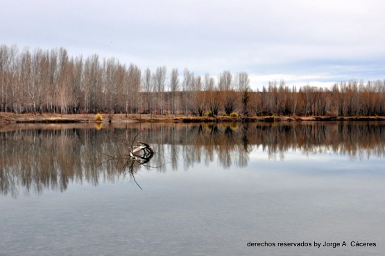 Foto 5/`secuencias en del Limay`