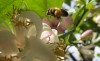 trabajando por la primavera