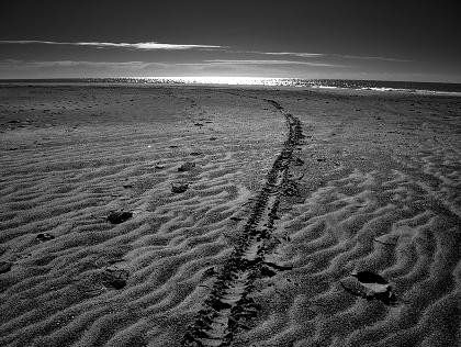 Foto 1/El Mar en Tinieblas