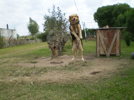 Foto 3/el gran salto