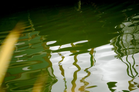 Foto 2/CUANDO EL AGUA REFLEJA