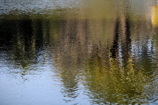 Foto 5/CUANDO EL AGUA REFLEJA