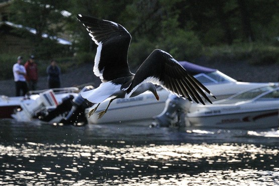 Foto 4/De pesca