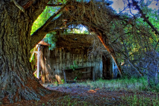 Foto 3/Casa Abandonada -segunda parte