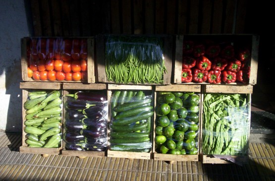 Foto 2/LA SOMBRA .LA VERDURA Y LA FRUTA