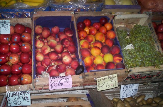 Foto 4/LA SOMBRA .LA VERDURA Y LA FRUTA