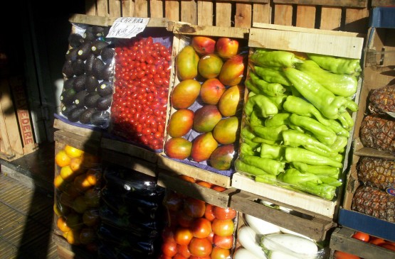 Foto 5/LA SOMBRA .LA VERDURA Y LA FRUTA