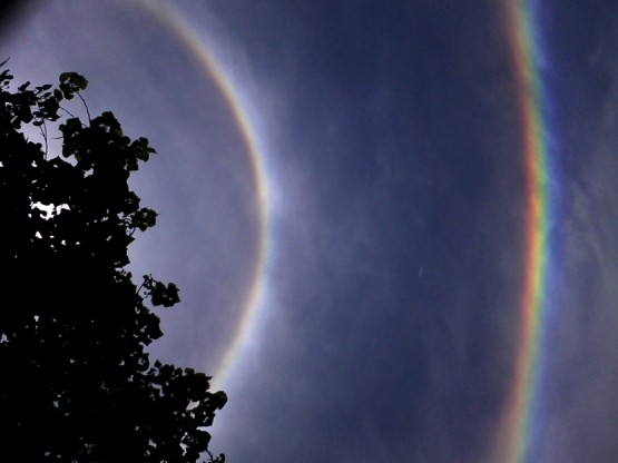 Foto 1/Mirando el Cielo esta tarde