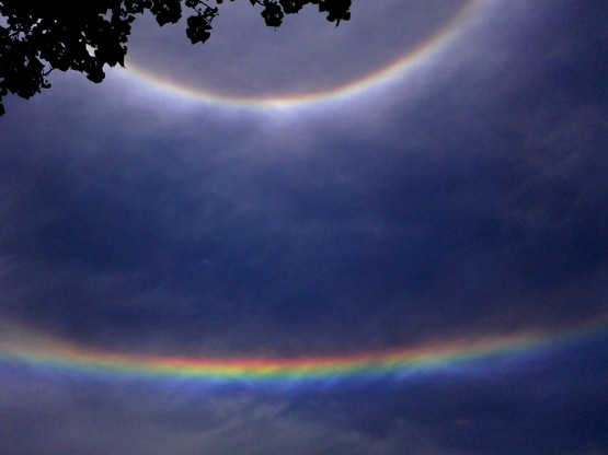 Foto 4/Mirando el Cielo esta tarde