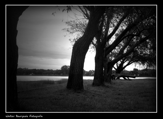 Foto 1/Por la costa...