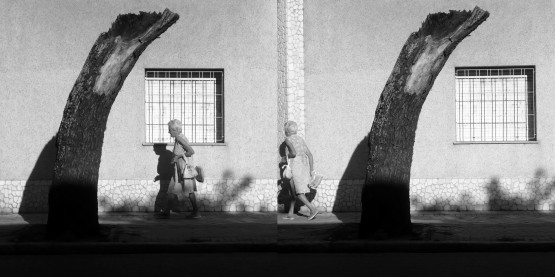 Foto 3/Serie de sombras