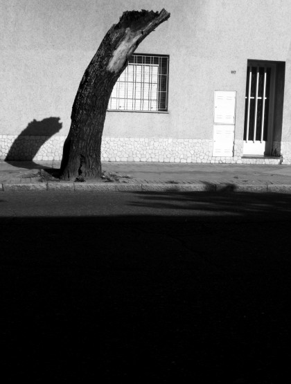 Foto 5/Serie de sombras