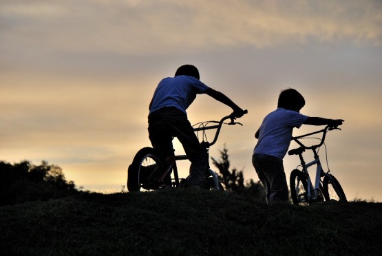 Foto 5/Bicicletas