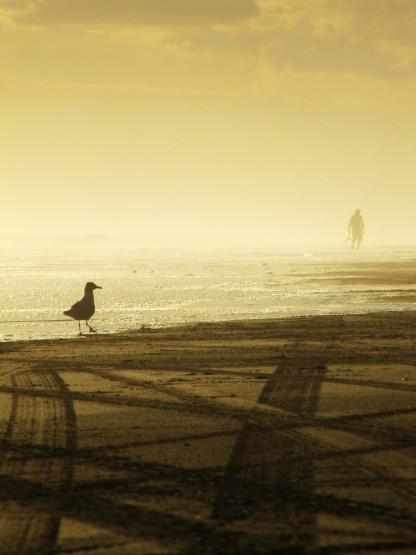 Foto 5/De frente al mar...