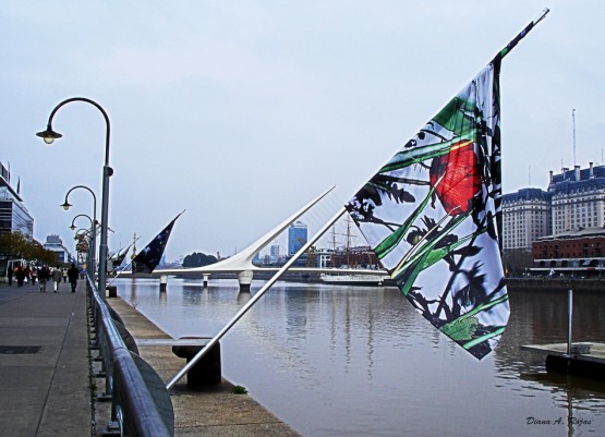 Foto 1/Puente y banderas