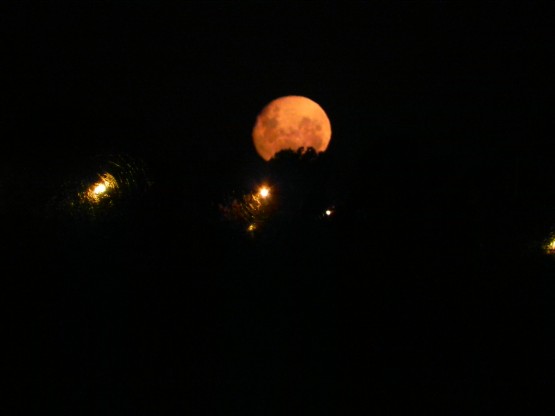 Foto 2/I salio la Luna