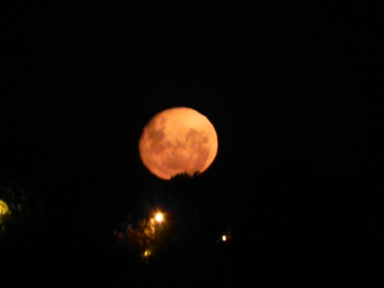 Foto 3/I salio la Luna