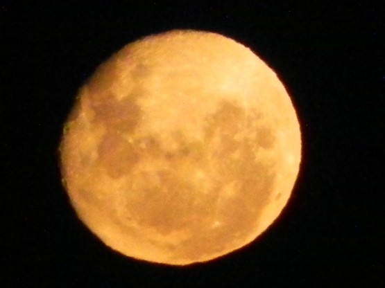 Foto 4/I salio la Luna