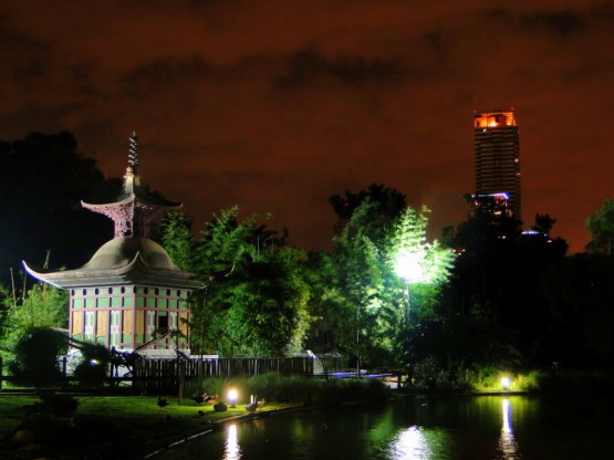 Foto 5/Noche de Zoo en Buenos Aires