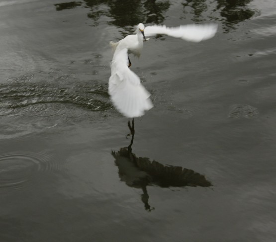 Foto 4/Pesca exitosa.