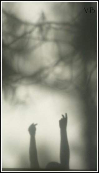 Foto 2/Sombras entre sombras