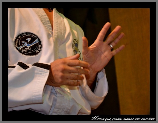 Foto 1/A puro Tae Kwon Do