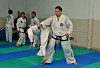 A puro Tae Kwon Do