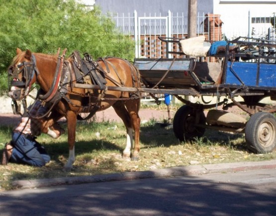 Foto 3/cambiando el calzado