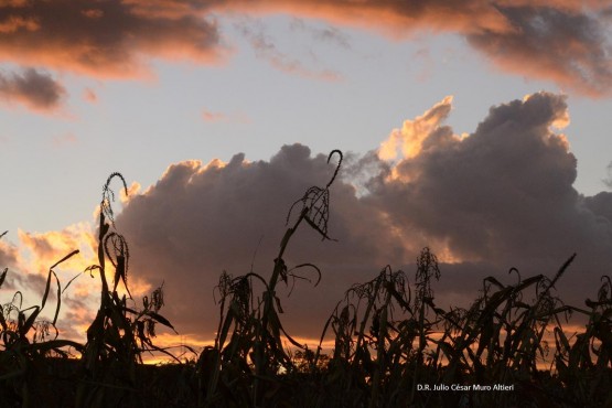 Foto 1/mis tardes sin ti...