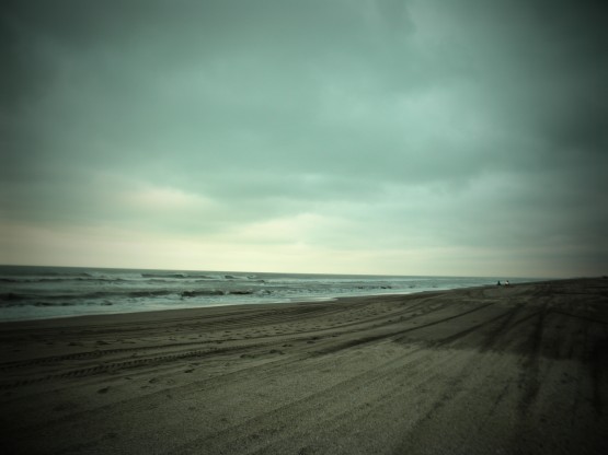Foto 1/`La costa en Pinamar`